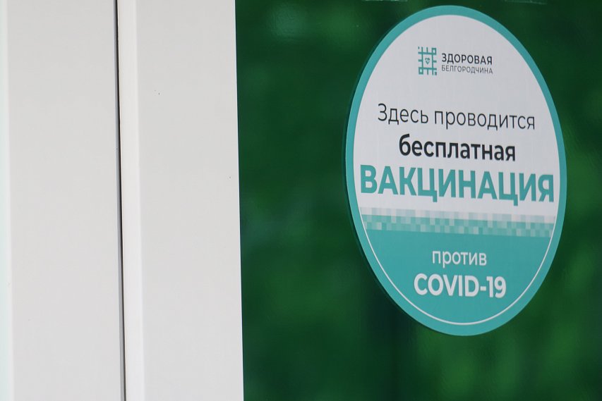 В Белгородской области первый компонент вакцины против коронавируса получили почти 750 тысяч жителей
