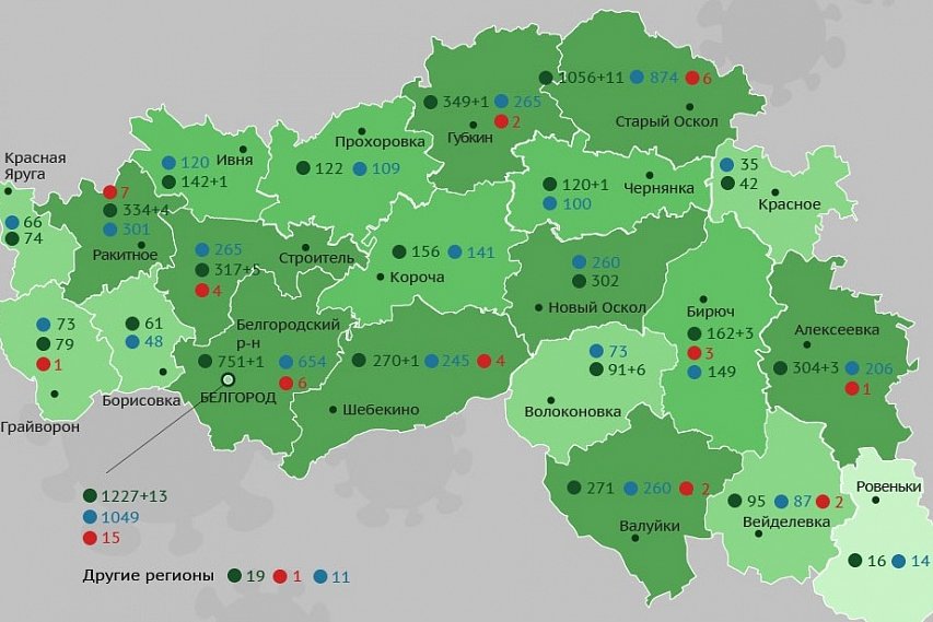 О заболеваемости коронавирусом в Губкине и Белгородской области на 10 августа