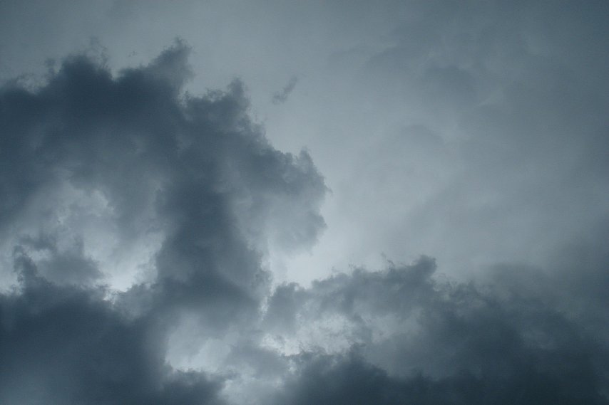 МЧС объявило штормовое предупреждение в Белгородской области из-за сильного ветра