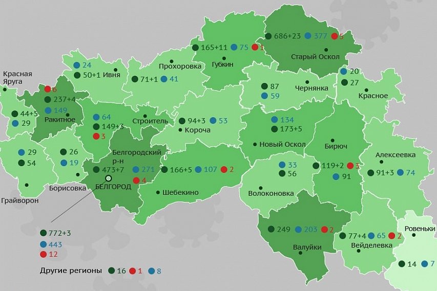 О заболеваемости коронавирусом в Губкине и Белгородской области на 22 июня