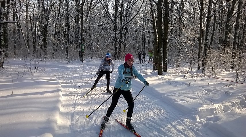 В Губкине прошла новогодняя лыжная гонка на Кубок области