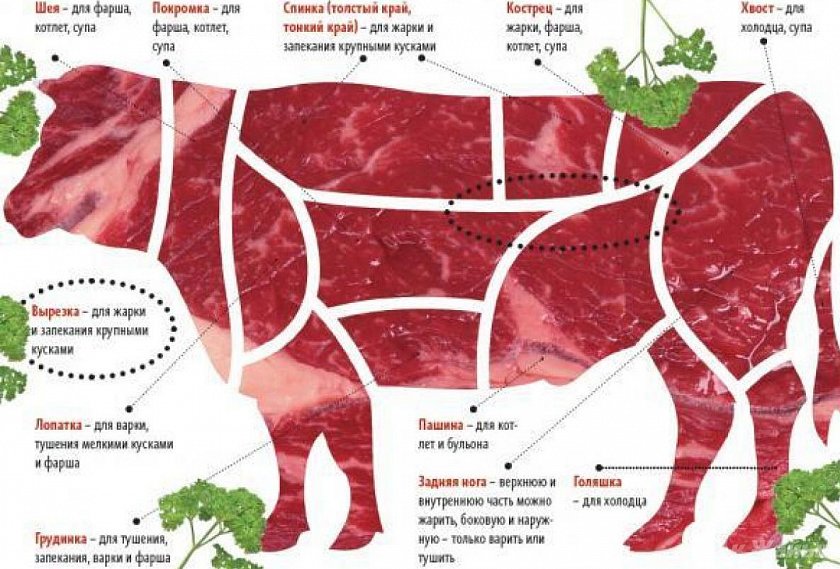 Под чужой маркой: мясо неизвестного производителя пытались выдать за белгородское