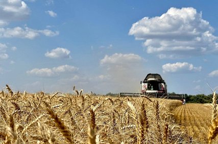Аграрии соберут не менее 3, 2 млн тонн зерна с полей Белгородской области