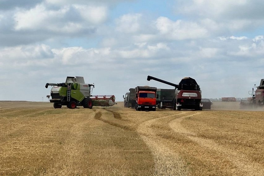 Михаил Лобазнов рассказал о ходе уборочной кампании в Губкинском округе