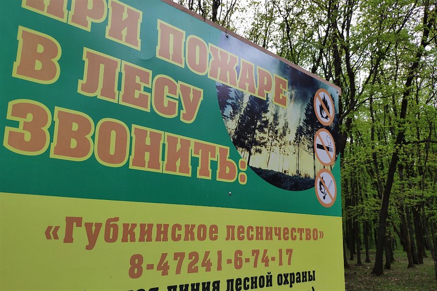 В Белгородской области продлён противопожарный режим