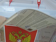 Стали известны предварительные результаты голосования на президентских выборах в Губкинском округе