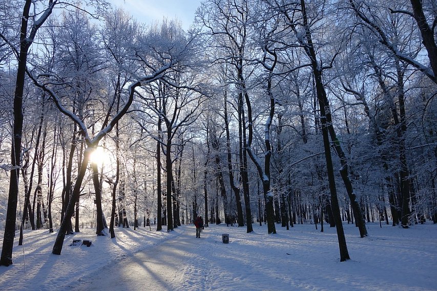 Погода в Губкине с 19 по 25 февраля: мороз возвращается