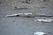 Губкинский округ седьмой день подряд атакуют БПЛА