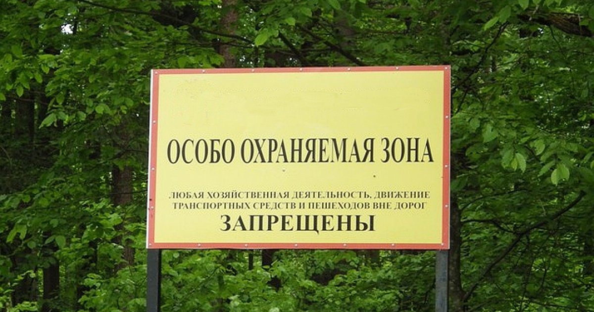 Минэкологии наказало водителей в Воскресенском районе за въезд на особо охраняем