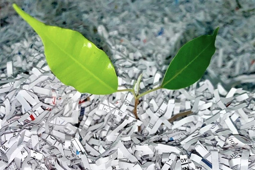 Лебединские экологи отправили на переработку около 35 тонн бумаги и пластика 