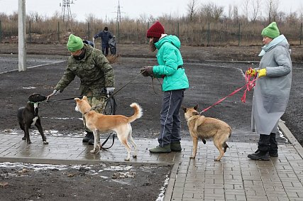 Волонтёры Лебединского ГОКа посетили губкинский приют для животных
