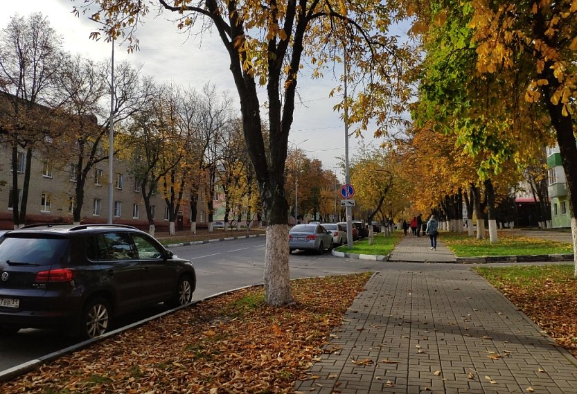 Последний день октября принесёт в Белгородскую область похолодание