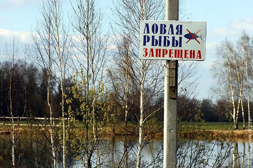 Белгородская прокуратура приказала убрать таблички, запрещающие ловлю рыбы