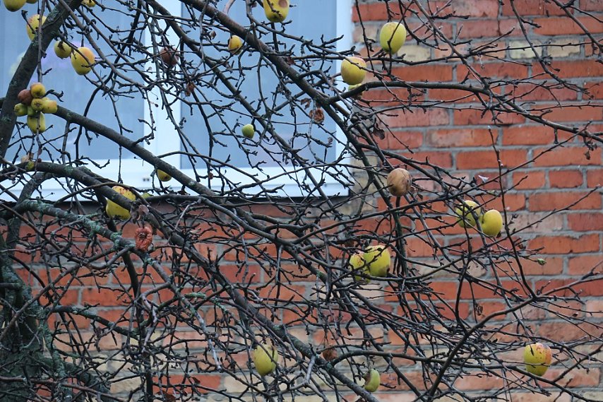 В 2026 году в Губкине капитально отремонтируют 21 многоквартирный дом