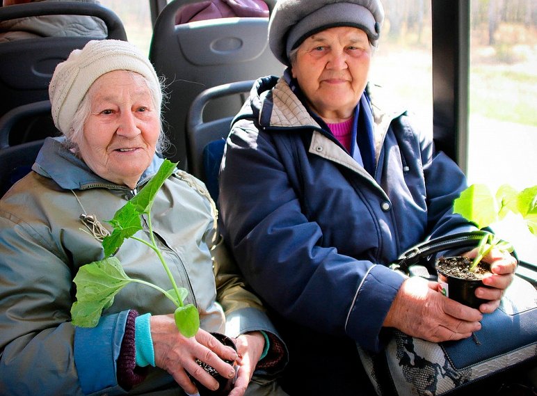 В Белгородской области ввели льготы на проезд для дачников