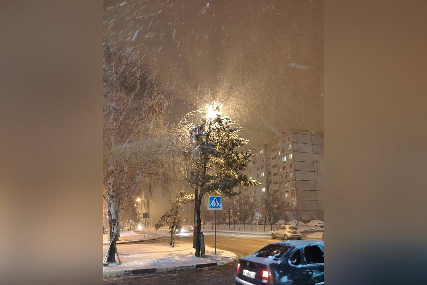 Сильный снег и метель придут в Белгородскую область