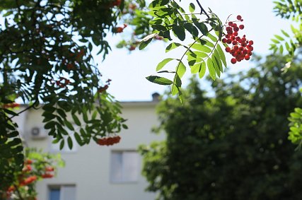 Синоптики предупреждают губкинцев о первых звоночках осени
