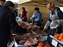 Белгородская область установила новый рекорд по производству мяса в 2024 году