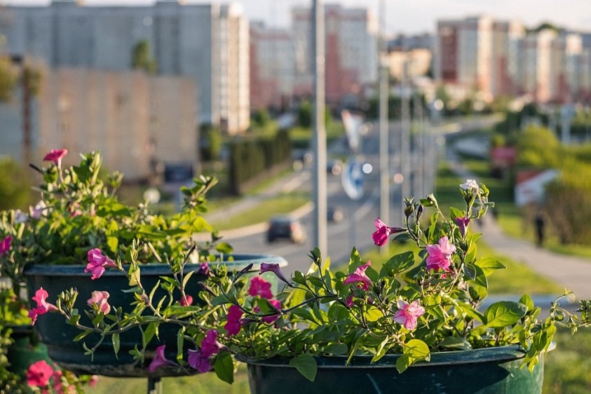 Куда сходить в выходные, 7 и 8 июня, в Губкине