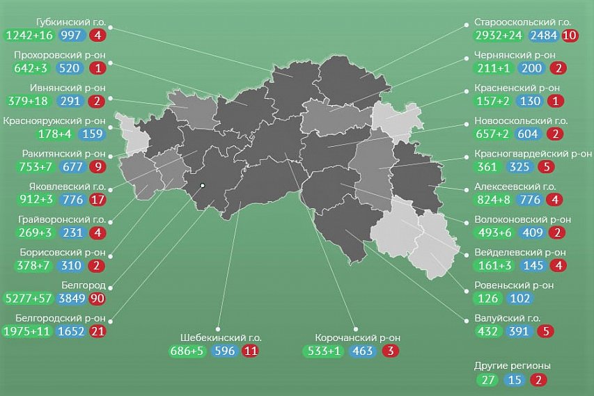 Информация по ситуации с коронавирусом в Белгородской области на 20 декабря