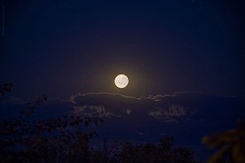 Полная луна на губкинском небе