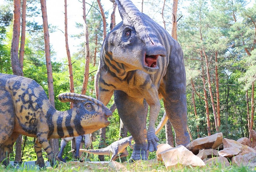 Новости Белгородской области: от просыпающихся динозавров – до возрождающейся набережной
