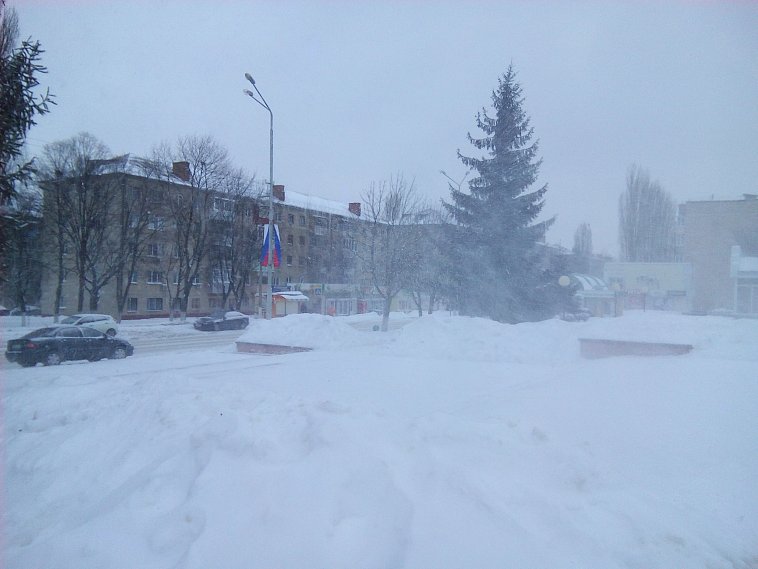 На Белгородскую область обрушились снегопад и метель