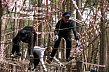 От тракторных шин до болота: губкинцы поучаствовали в кроссе «Железный характер»