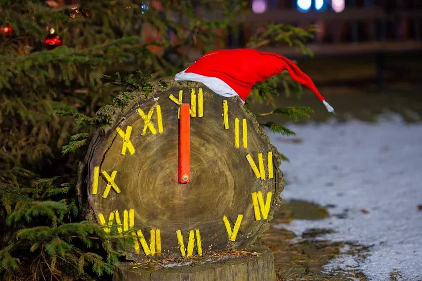 Дом, работа, гости: россияне рассказали, как проведут новогодние каникулы