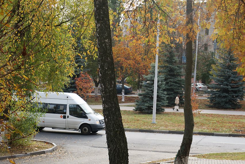 В Губкине автоинспекторы привлекли к ответственности 288 водителей автобусов