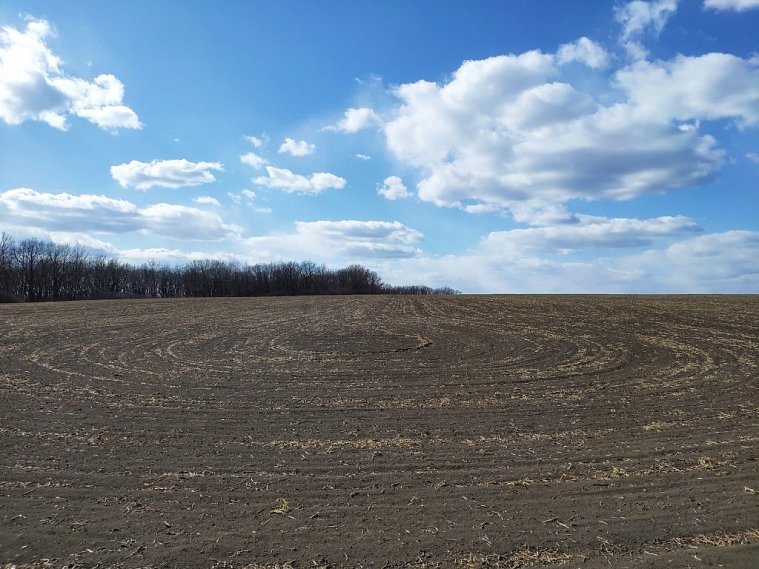 Белгородские аграрии планируют приступить к весенне-полевым работам в середине марта