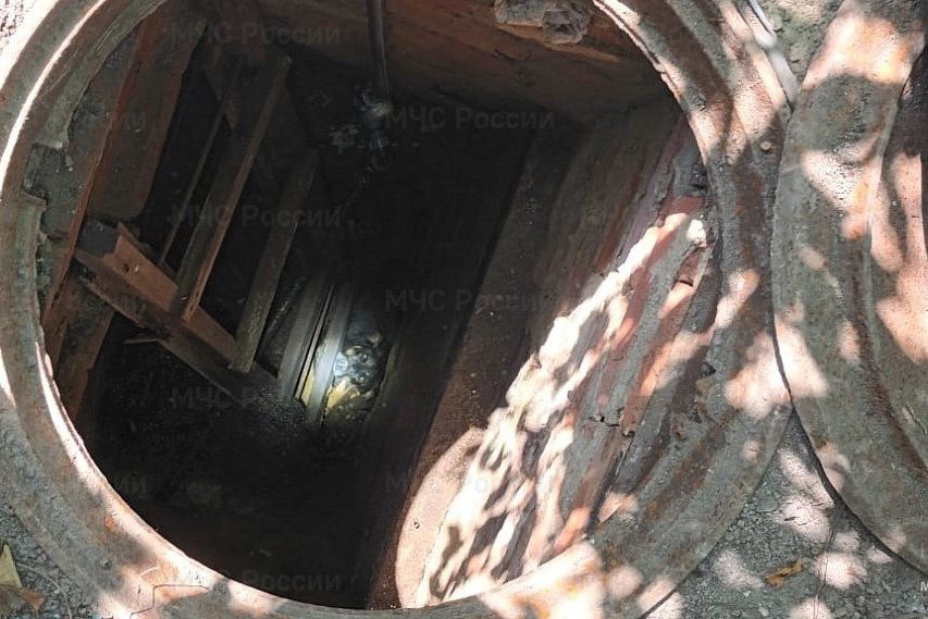 Губкинские спасатели пришли на помощь собаке, упавшей в открытый колодец