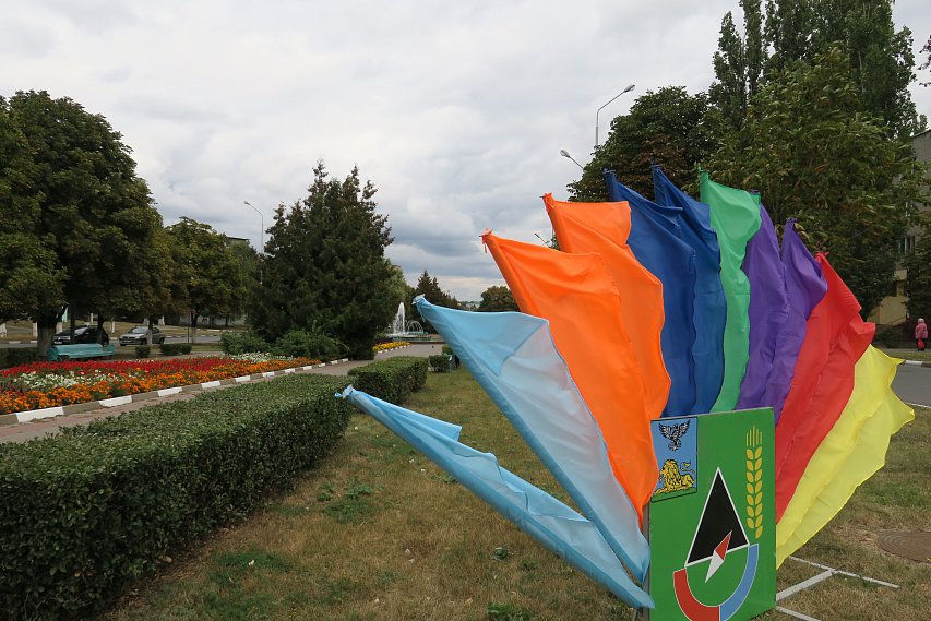 Жителей Белгородской области предупредили о сильном ветре