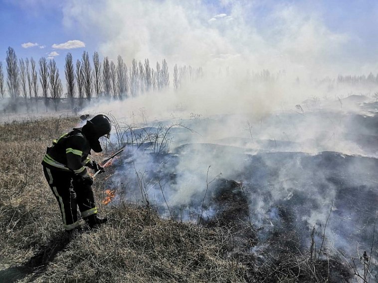 Спасатели предупреждают жителей Белгородской области о сильном ветре и опасности пожаров