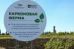 Металлоинвест в 2024 году направил более 26 млрд рублей на природоохранную деятельность