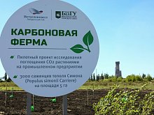 Металлоинвест в 2024 году направил более 26 млрд рублей на природоохранную деятельность