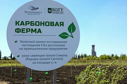 Металлоинвест в 2024 году направил более 26 млрд рублей на природоохранную деятельность