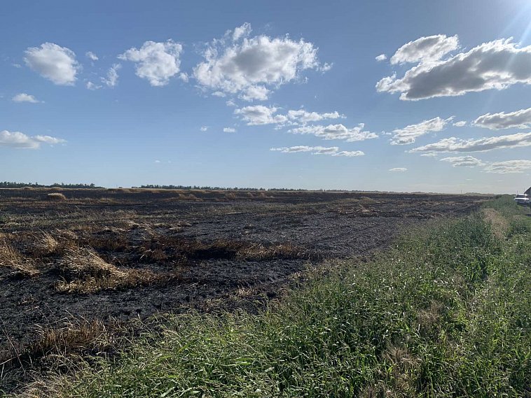 В Губкинском округе сгорели 2 гектара пшеницы и 8 соток стерни