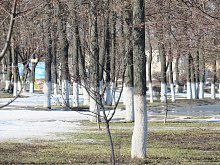 В выходные погода в Губкине улучшится