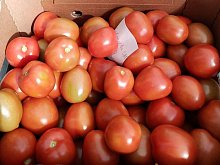 В ноябре в Белгородской области выросли цены на овощи, газеты и транспорт