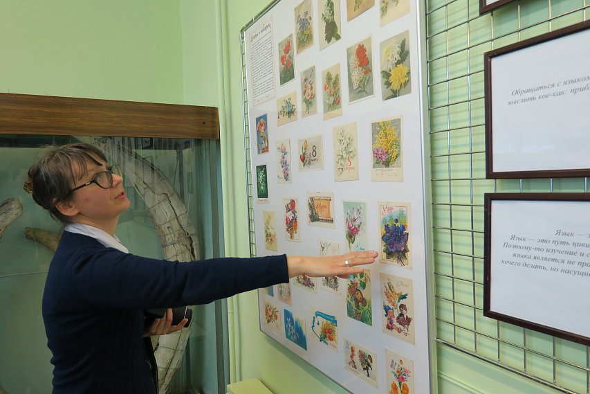 В губкинском музее к 8 Марта приготовили старинные открытки с цветами