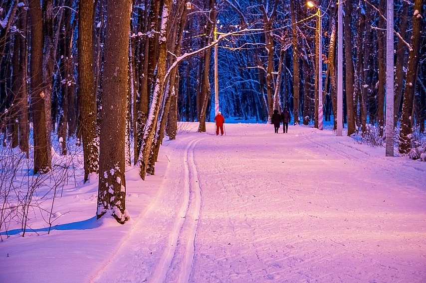 Власти Губкина решили приостановить работу лыжероллерной трассы