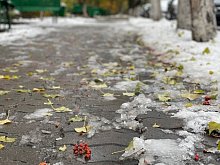 Первый снег не залежится: синоптики обещают потепление в Белгородской области