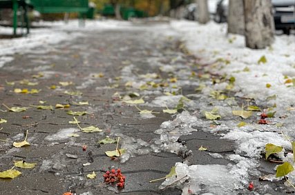 Первый снег не залежится: синоптики обещают потепление в Белгородской области