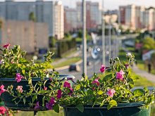 Куда сходить в выходные, 7 и 8 июня, в Губкине