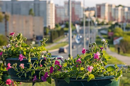 Куда сходить в выходные, 7 и 8 июня, в Губкине