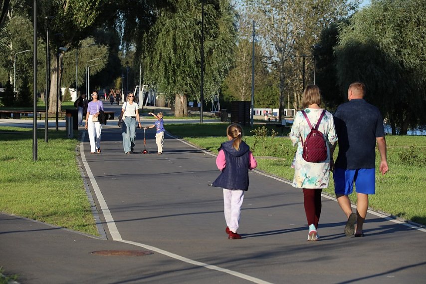 Советы врача: почему прогулка улучшает память