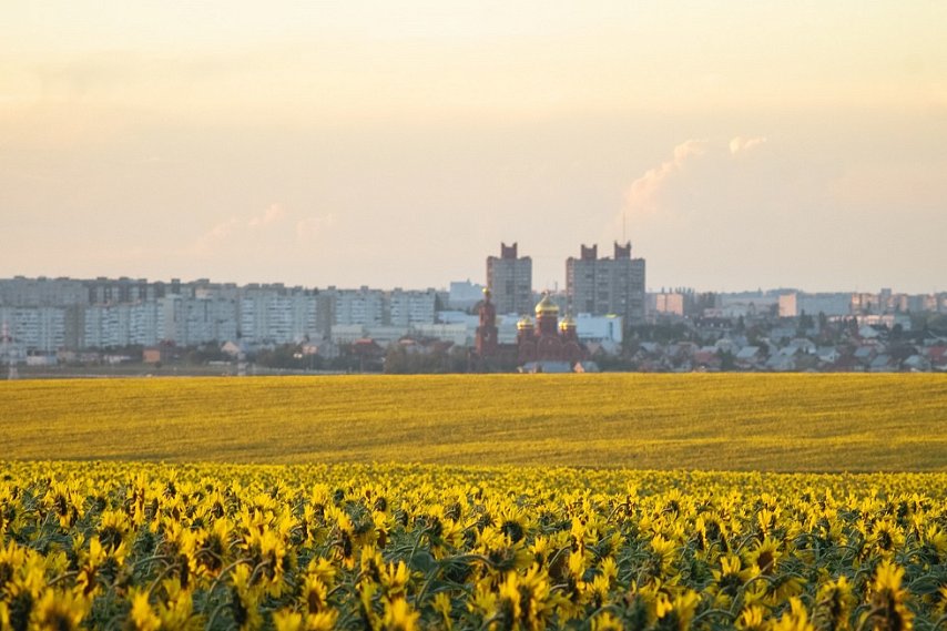 Губкин претендует на звание города с самой интересной архитектурой